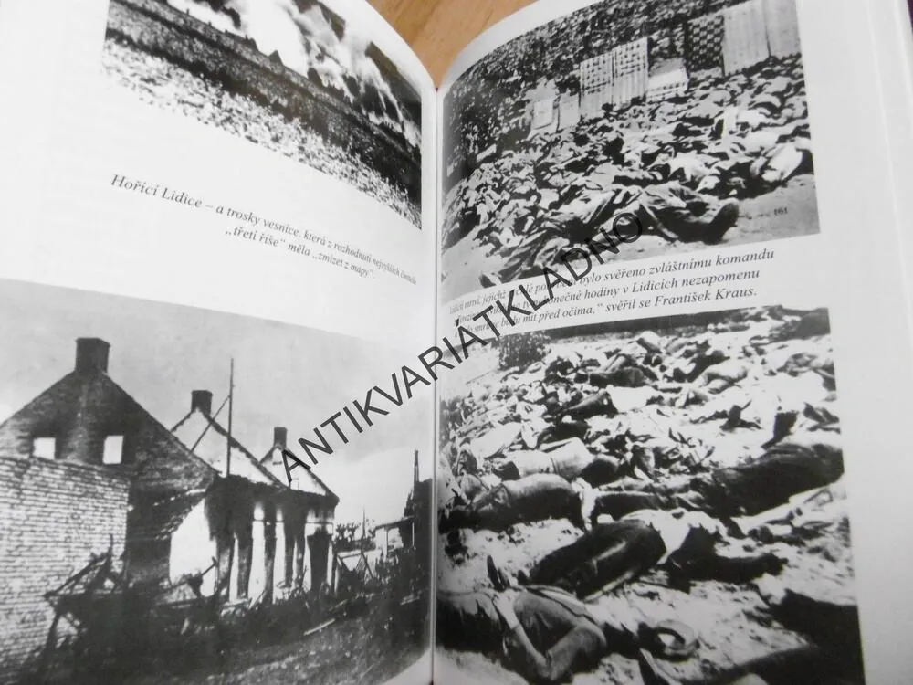 HOLOCAUST... A BŮH TEHDY MLČEL, ROMAN CÍLEK