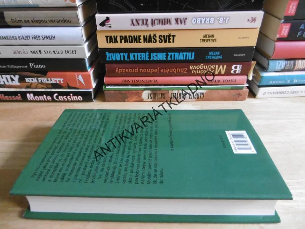 JESTŘÁBŮV LET, PŘÍBĚH JAROSLAVA FOGLARA, LUBOMÍR KUBÍK, **an
