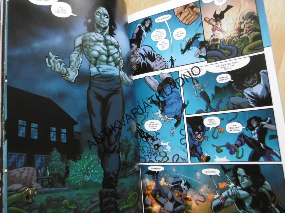 BIRDS OF PREY 1, KDO JE ORACLE?, **an