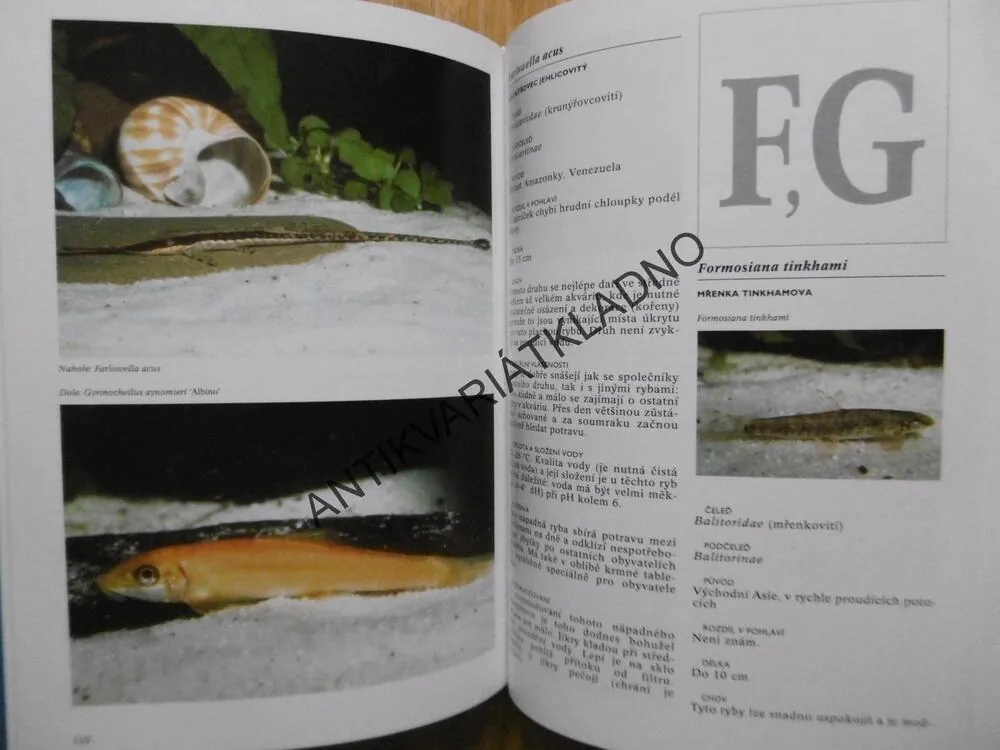 ENCYKLOPEDIE AKVARIJNÍCH RYB, ESTHER J. J. VERHOEF,-VERHALLENOVÁ, **an