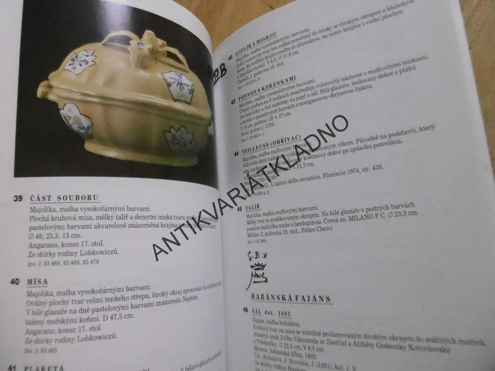 EVROPSKÁ FAJÁNS, **an