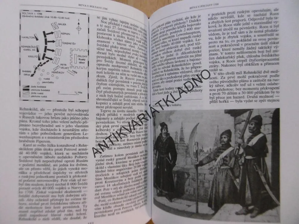 ROZHODUJÍCÍ BITVY, GEOFFREY REGAN, **an