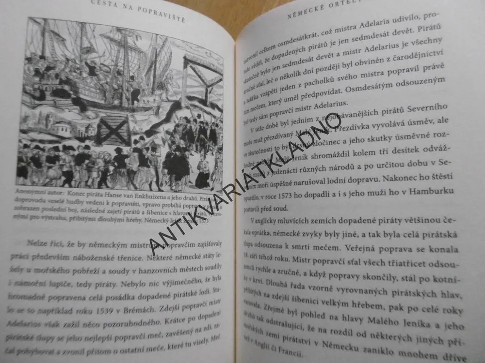 CESTA NA POPRAVIŠTĚ, VLADIMÍR ŠINDELÁŘ, **an