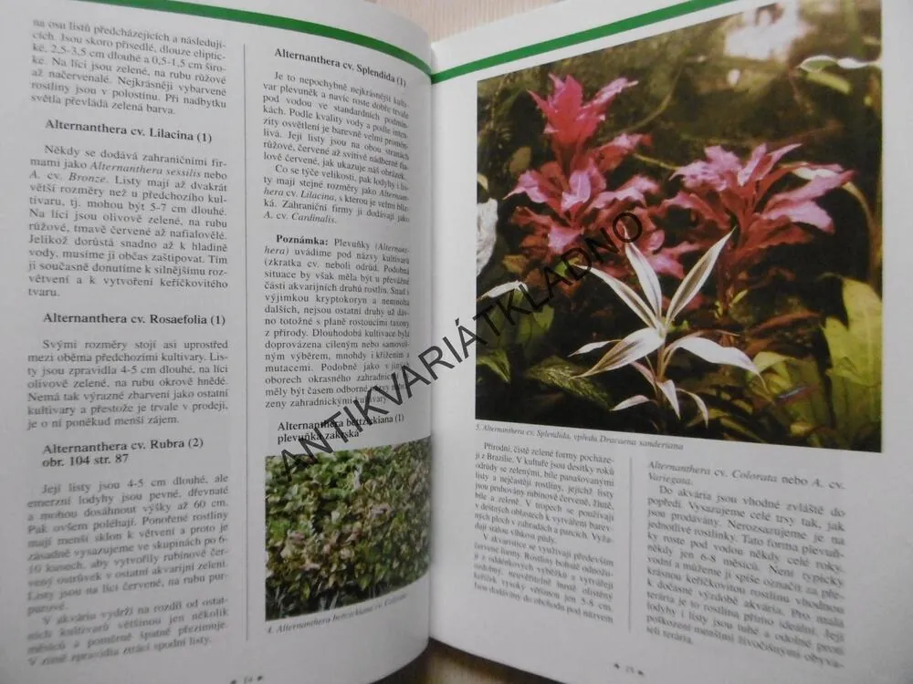 AKVÁRIUM A ROSTLINY, KAREL RATAJ, **an