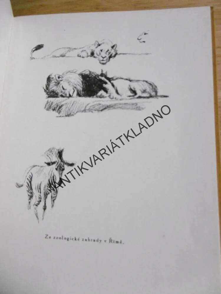 Z ITALSKÉHO SKICÁŘE MAXE ŠVABINSKÉHO, ŽÁKAVEC, 1925