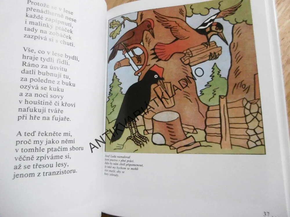 POJĎTE ZA OBRAZY ANEB...MALOVÁNÍ ZVÍŘAT, BRUKNER,