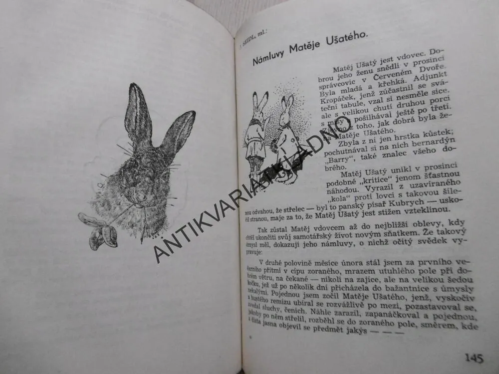 Z ČESKÝCH MYSLIVEN A HÁJOVEN, LUDVÍK ŠTĚTKA, **an