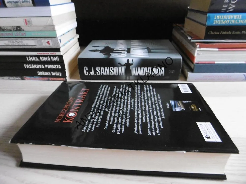 NEBEZPEČNÝ KONTRAKT, BRETT HOFFMANN, **an