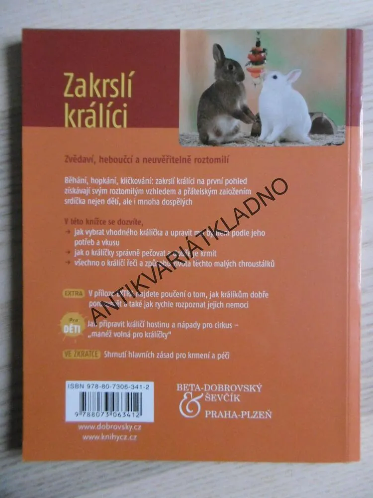 ZAKRSLÍ KRÁLÍCI, CHOV A PÉČE, POROZUMĚNÍ A ZABAVENÍ, ANGELA BECKOVÁ, **an