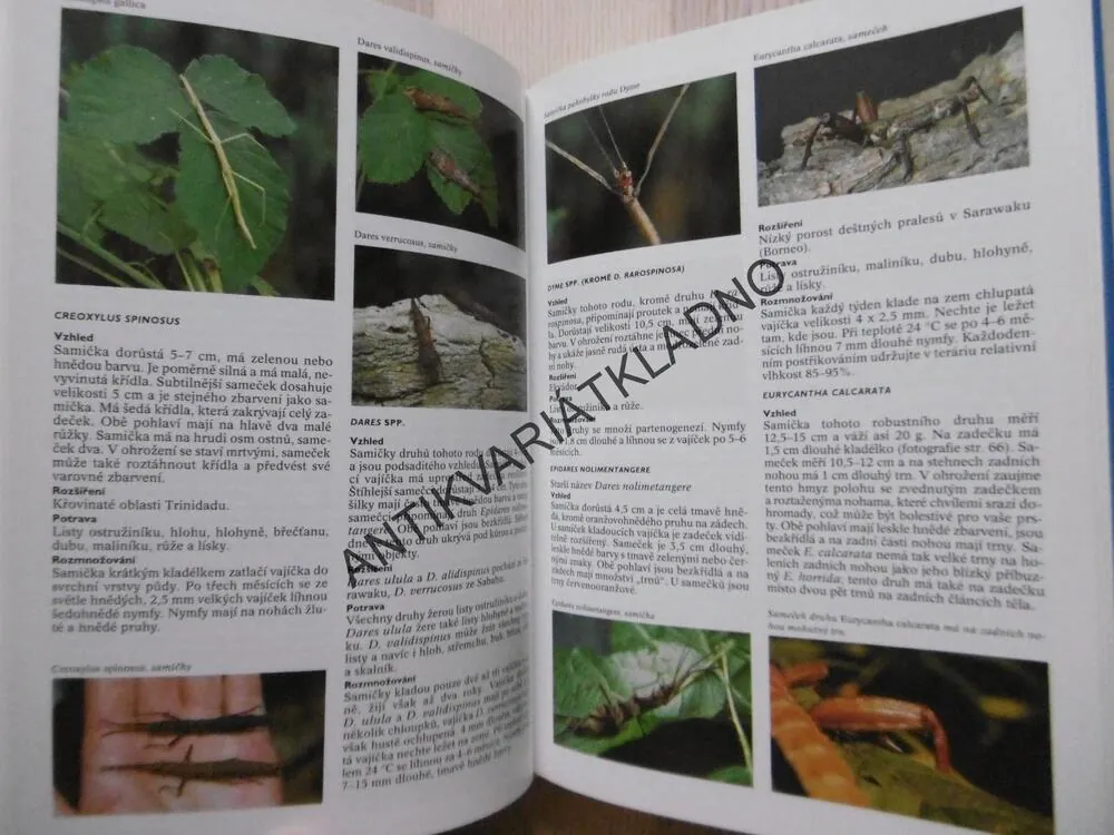ENCYKLOPEDIE TERARISTIKY, EUGÉNE BRUINS, **an
