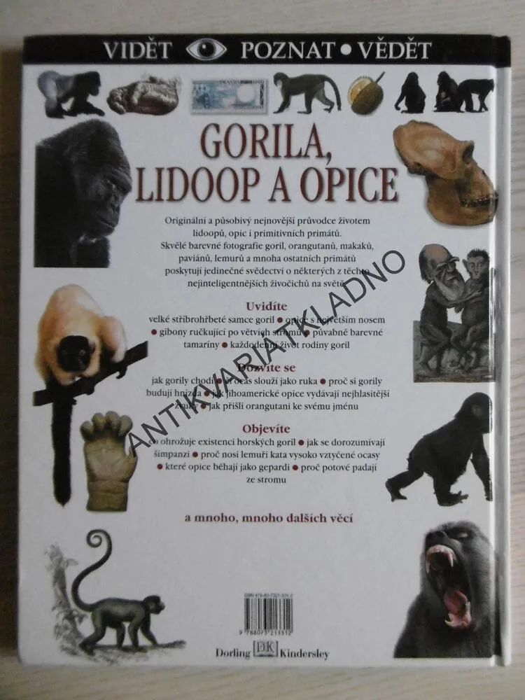 GORILA, LIDOOP A OPICE, **an