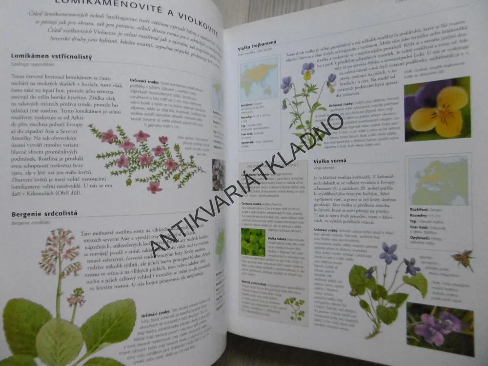 KVĚTINY A ROSTLINY V PŘÍRODĚ, SVĚTOVÁ ENCYKLOPEDIE, **an