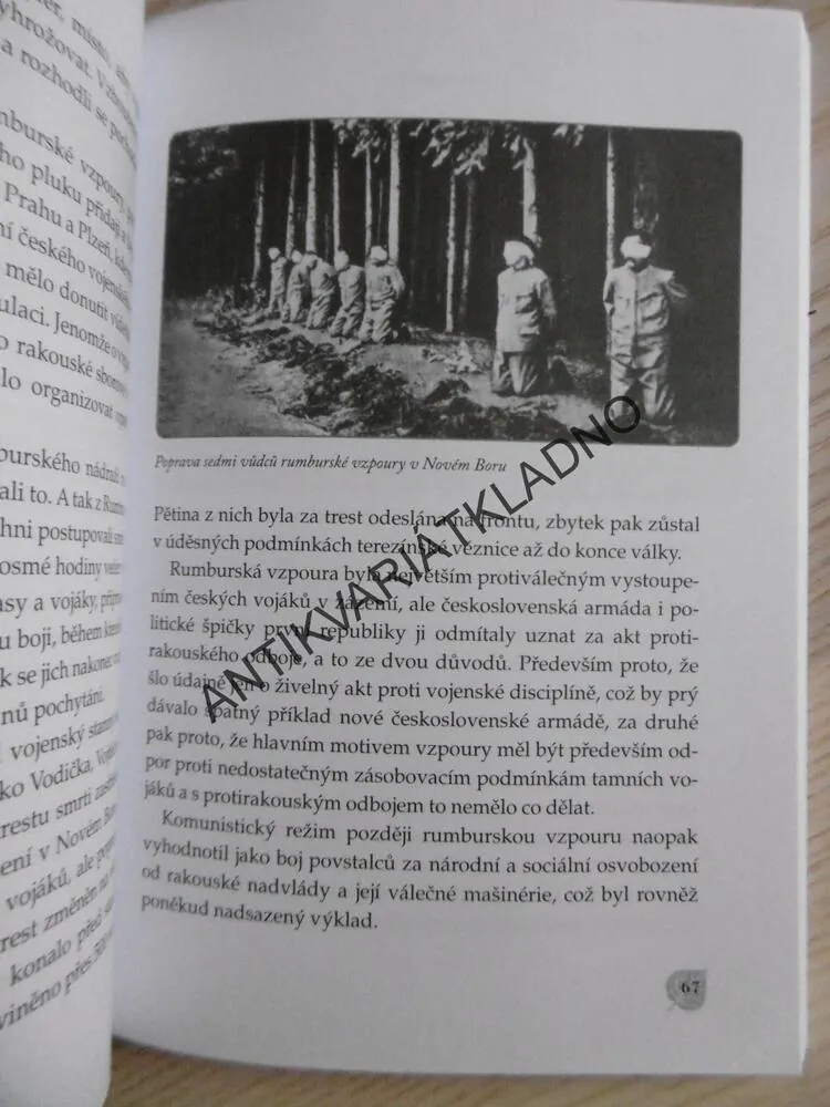 VZNIK ČESKOSLOVENSKA 1918, VLADIMÍR LIŠKA, , **an