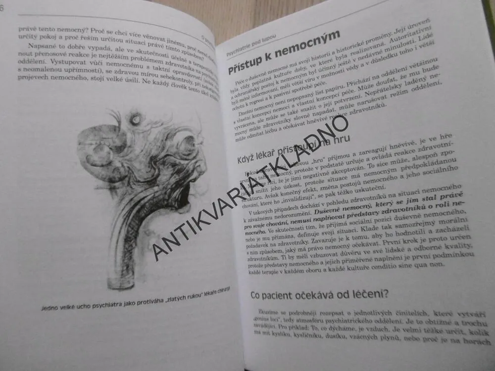 O PSYCHIATRII, PETR STYX, JAK ŽÍT A JEDNAT S DUŠEVNĚ NEMOCNÝMI LIDMI, **an