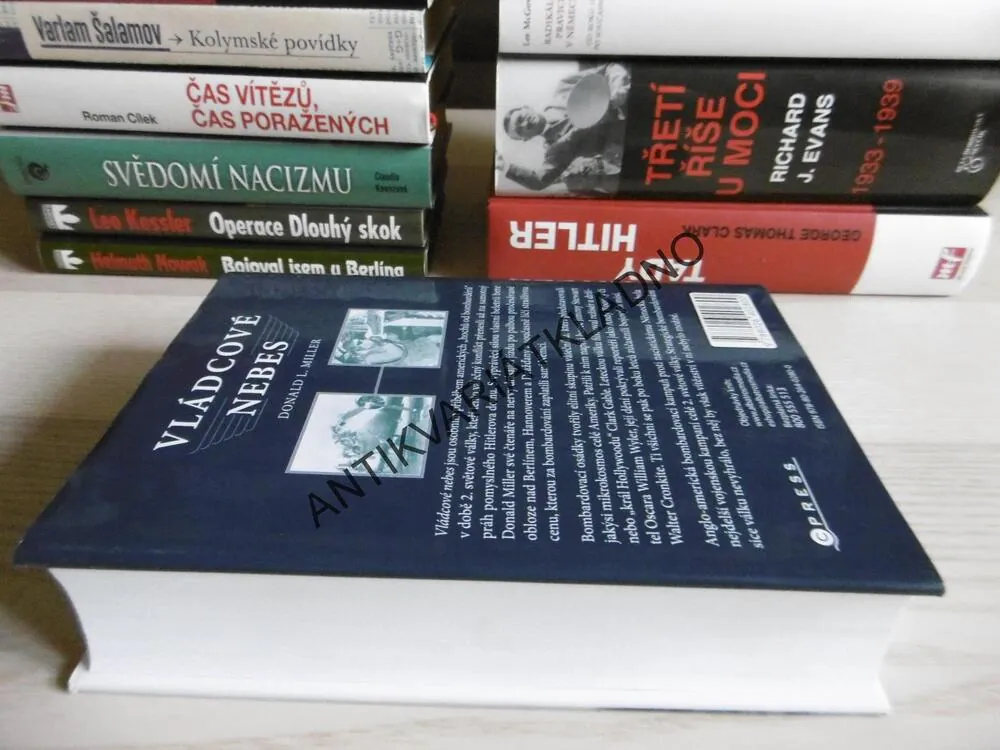 VLÁDCOVÉ NEBES, DONALD L. MILLER, **an