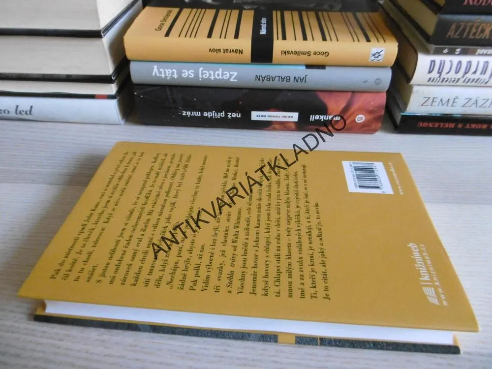 TAJNÝ DENÍK, SEBASTIAN BARRY, **an