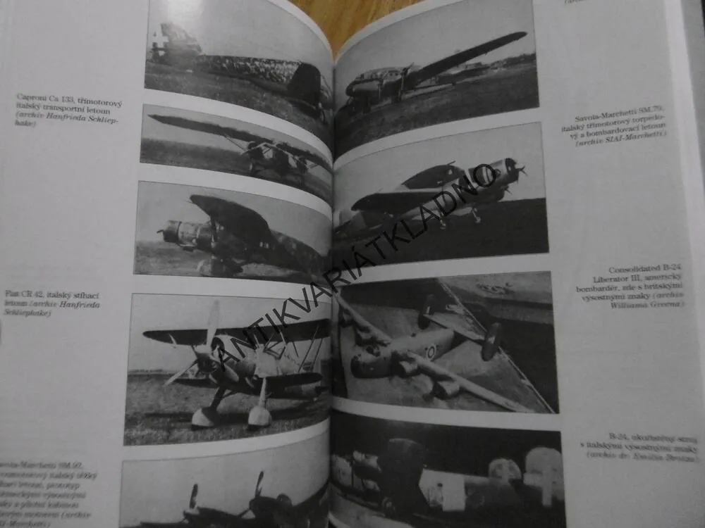 NA CIZÍCH KŘÍDLECH, HANS-WERNER LERCHE, LETECTVÍ, **an