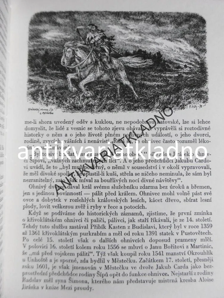 HÁJEMSTVÍ ZELENÉ, VIKTOR PALIVEC, OKR. RAKOVNÍK, **an