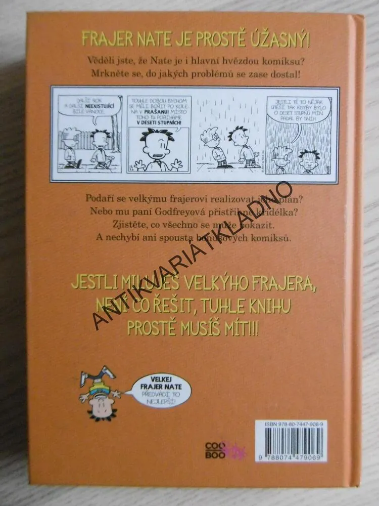 VELKEJ FRAJER NATE, KOMIKS, LINCOLN PEIRCE, **an