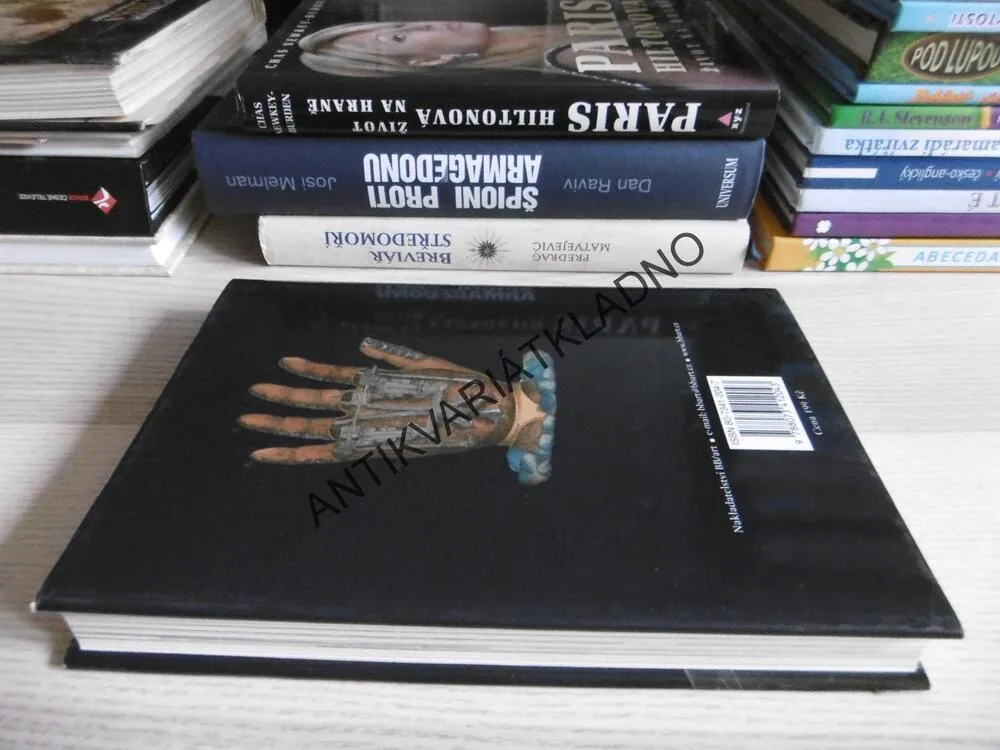 MUZEUM PŘÍZRAKŮ A SBÍRKA LÉKAŘSKÝCH KURIOZIT, HENRY WLLCOM, **an