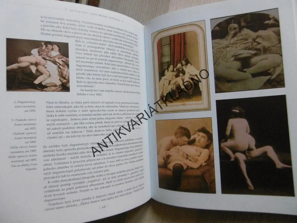 PORNOGRAFIE, TAJNÉ DĚJINY CIVILIZACE, ISABEL TANGOVÁ,**an