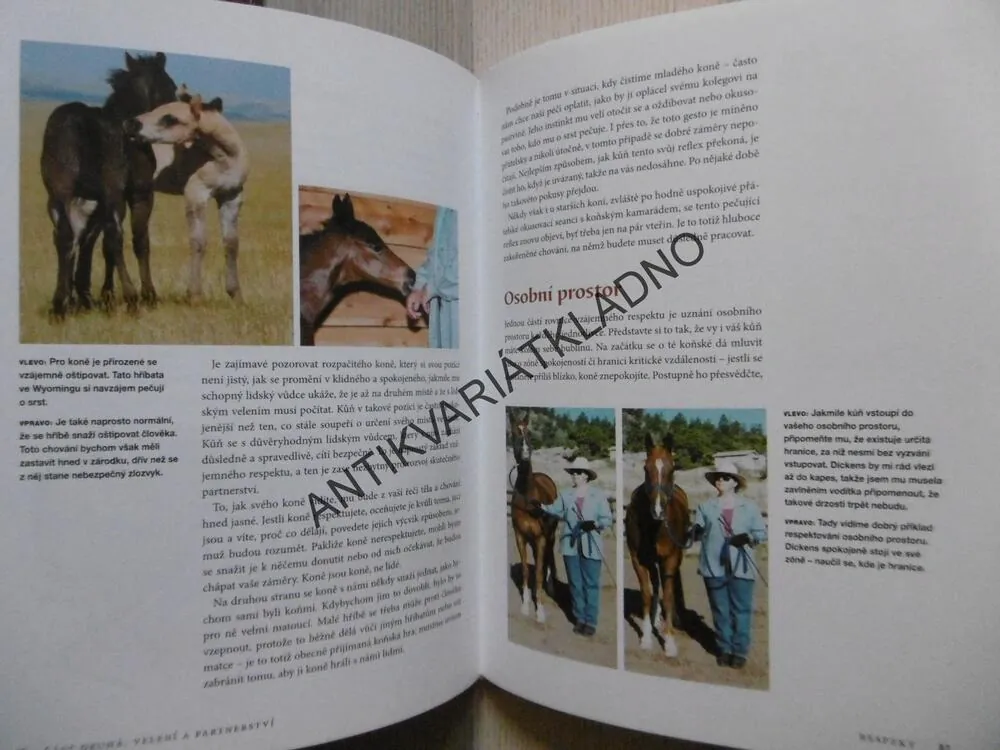CO BY MĚL KAŽDÝ KŮŇ ZNÁT, VÝCVIK, CHERRY HILLOVÁ, **an