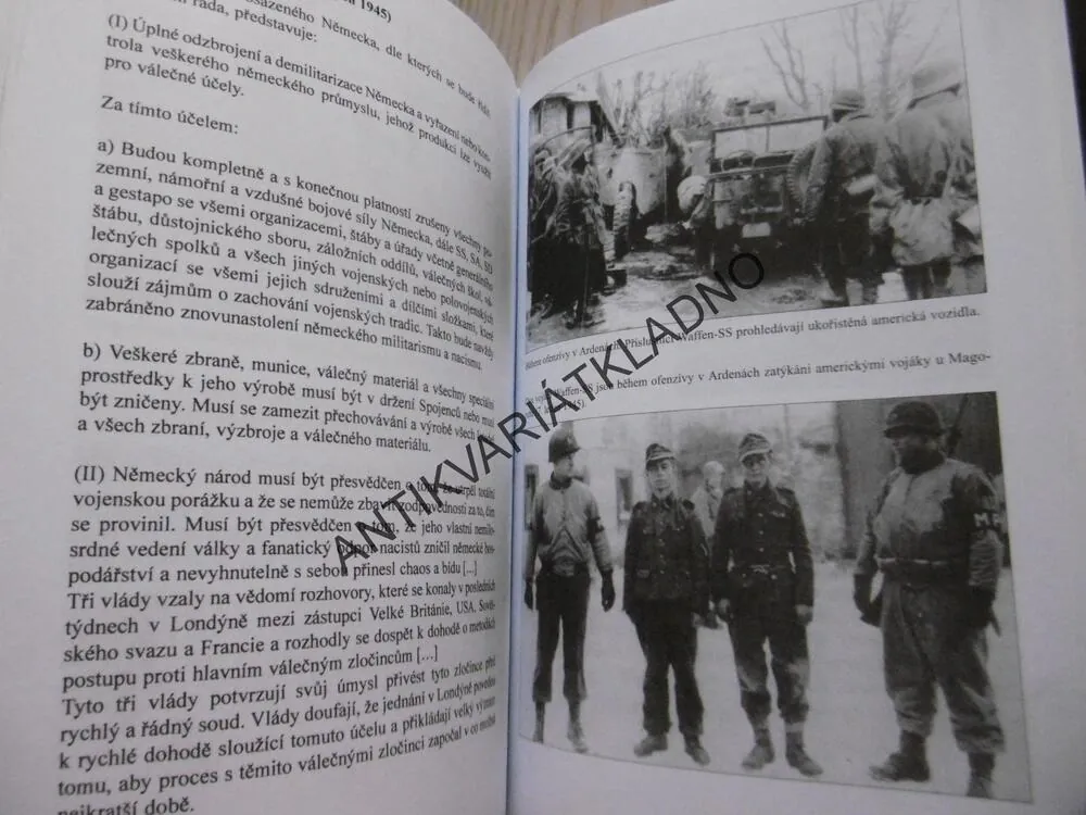 HITLERŮV ČERNÝ ŘÁD, W. SCHNEIDER, **an