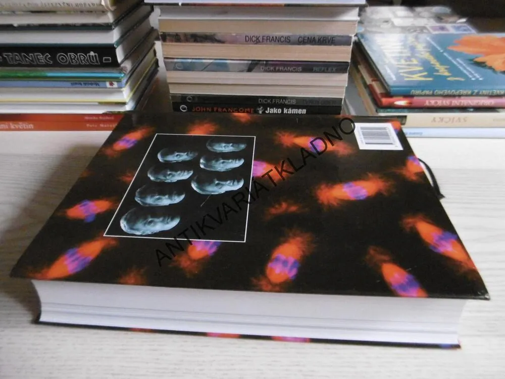 ZÁKLADY BUNĚČNÉ BIOLOGIE, ÚVOD DO MOLEKULÁRNÍ BIOLOGIE BUŇKY,