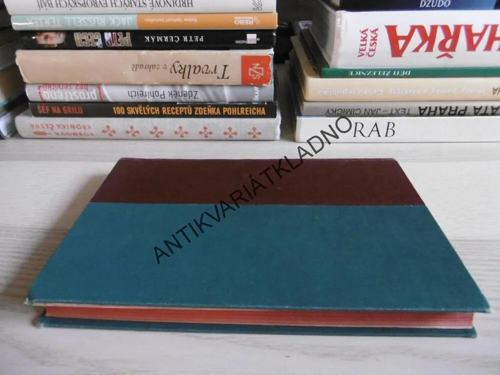 DĚJE KRÁLOSTVÍ ČESKÉHO, V.V.TOMEK, **an