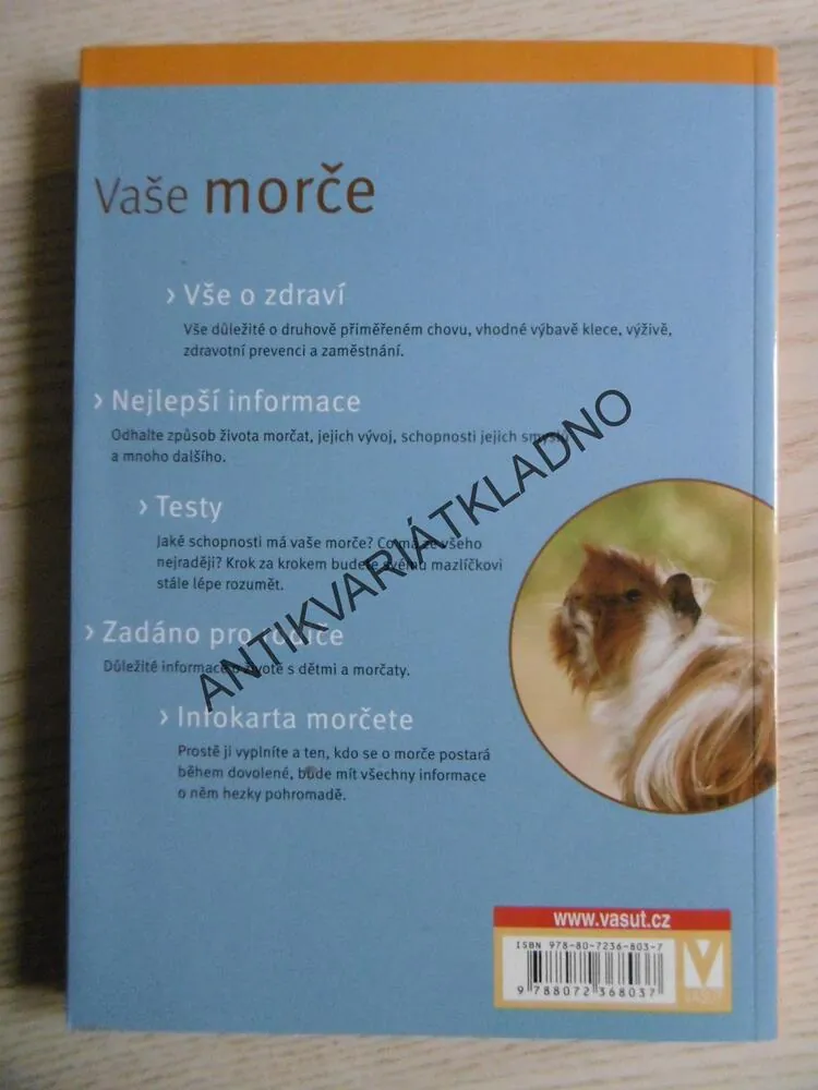 VAŠE MORČE, VAŠE ZVÍŘÁTKO, IMMANUEL BIRMELIN, CHOV, KRMENÍ, VÝCHOVA,**an