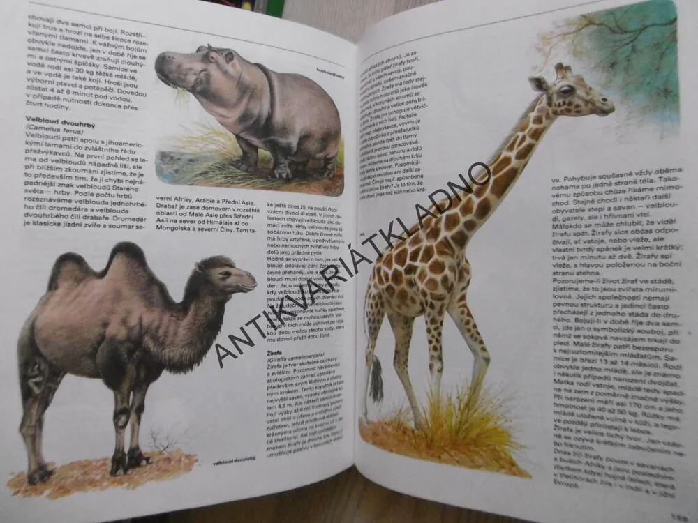 PESTRÁ PŘÍRODA, ZOOLOGIE, BOTANIKA, MINERALOGIE, **an