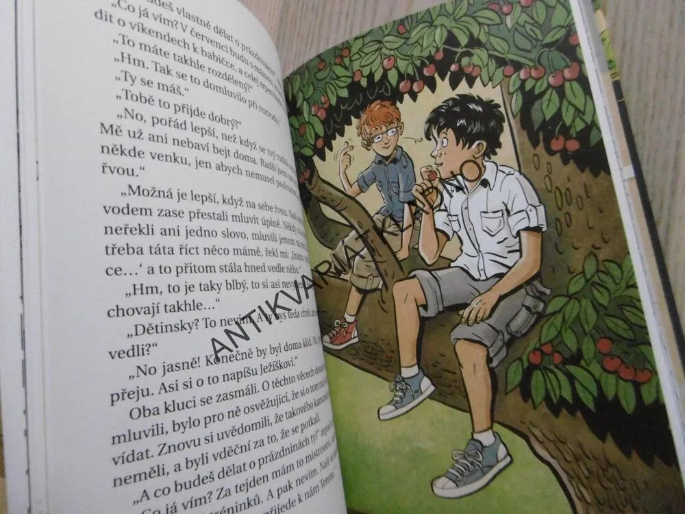 TAJEMSTVÍ JESKYNĚ POKLADŮ, PETR HUGO ŠLIK, **an