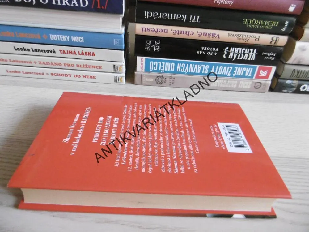 ĎÁBLOVY DVEŘE, SHARAN NEWMAN, CATHERINE LEVENDEUR, **an