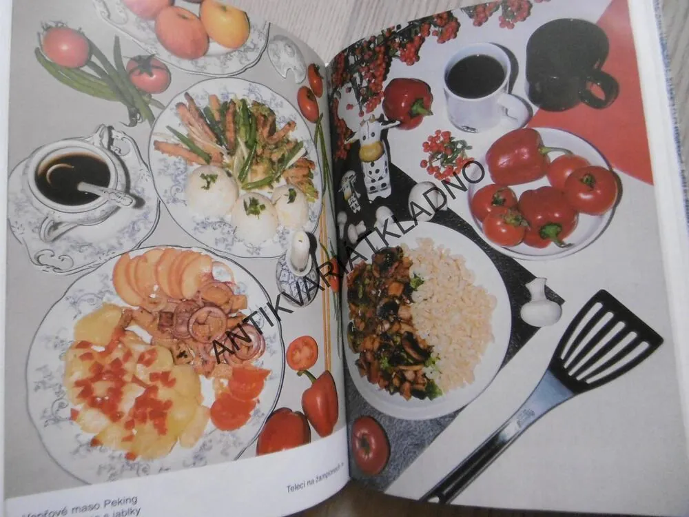 RYCHLÁ KUCHAŘKA, JANA A VÁCLAV VĚTVIČKOVI, **an