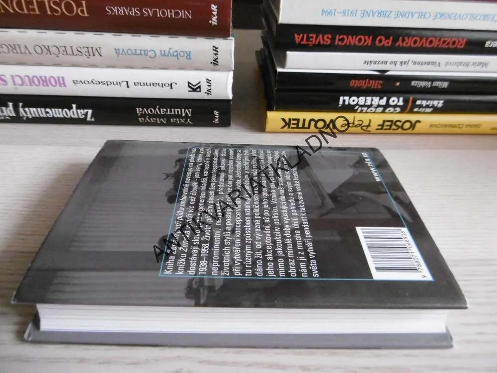 ŽENÁM PATŘÍ PŮLKA NEBE, PAVLA FRÝDLOVÁ, **an
