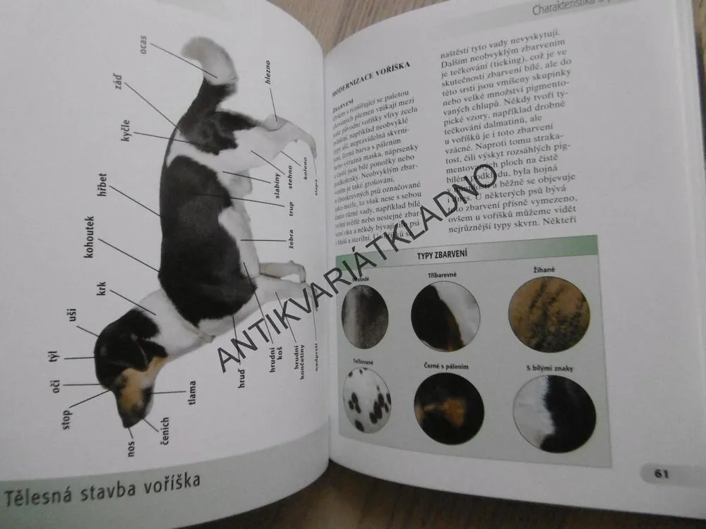 VOŘÍŠEK, HELENA KHOLOVÁ, **an