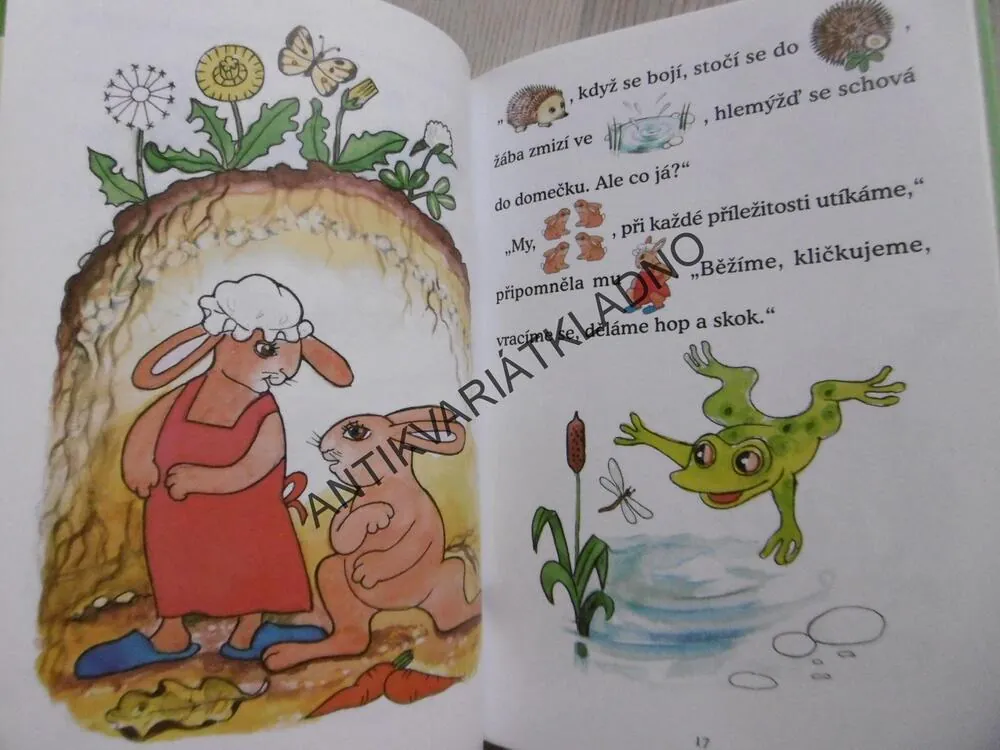 POHÁDKY Z HÁJOVNY, GABRIELA KOPCOVÁ, **an