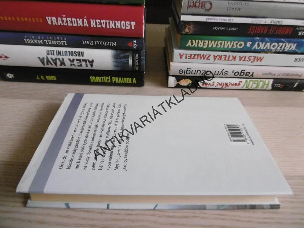 NAPROSTÝ CIZINEC, V MOCI TYRANA, KAY SCHUBACHOVÁ, **an