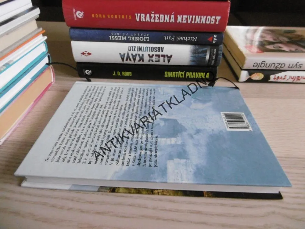 MĚSTA KTERÁ ZMIZELA, JAN BAUER, **an