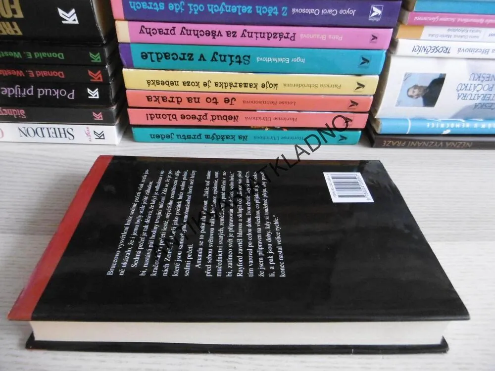 BOJOVNÍCI TRÝZNĚ, TIM LAHAYE, JERRY B. JENKINS, **an