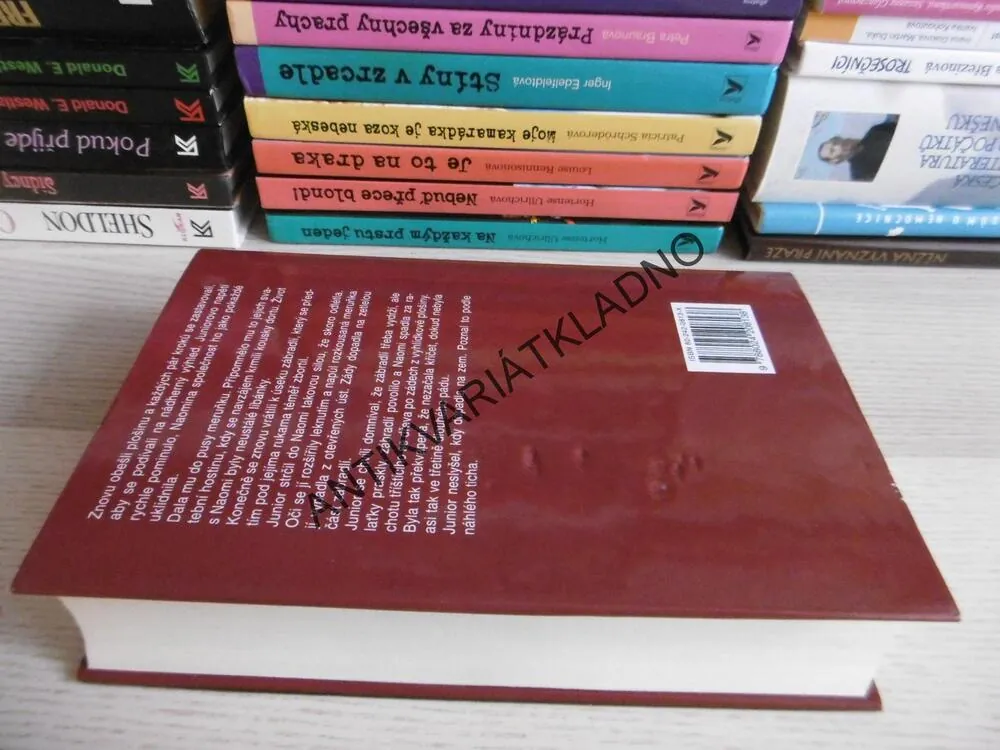 KOUTKEM OKA, DEAN KOONTZ, **an