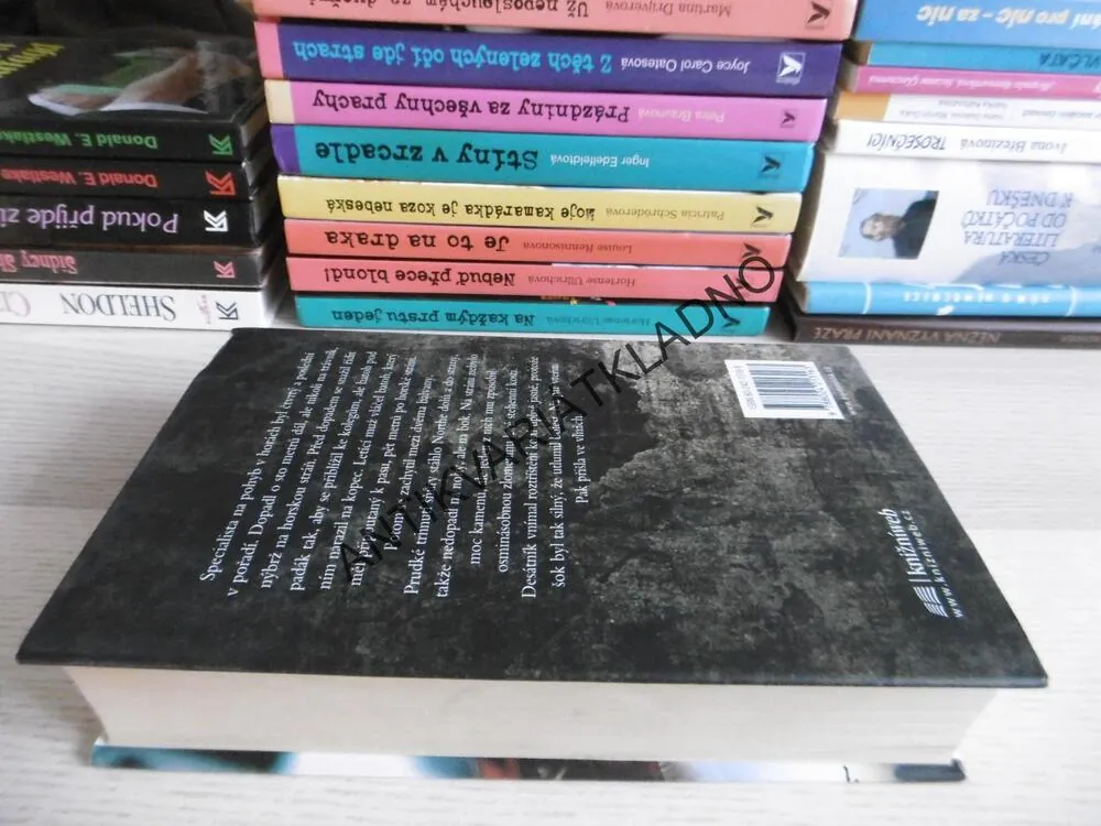 BOŽÍ PĚST, FREDERICK FORSYTH, **an