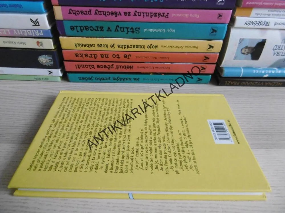POMERANČE V PODRPSENCE, IVONA BŘEZINOVÁ, **an