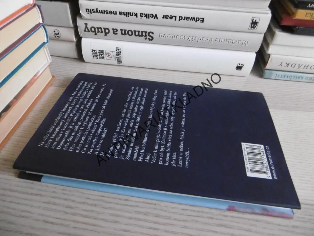 ŠÍLENĚ SMUTNÉ POVÍDKY, TEREZA BOUČKOVÁ, **an