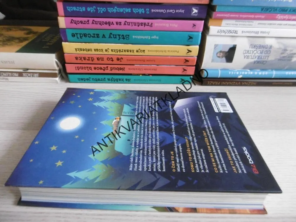PRÁZDNINY V EVROPĚ, LADISLAV ZIBURA, **an