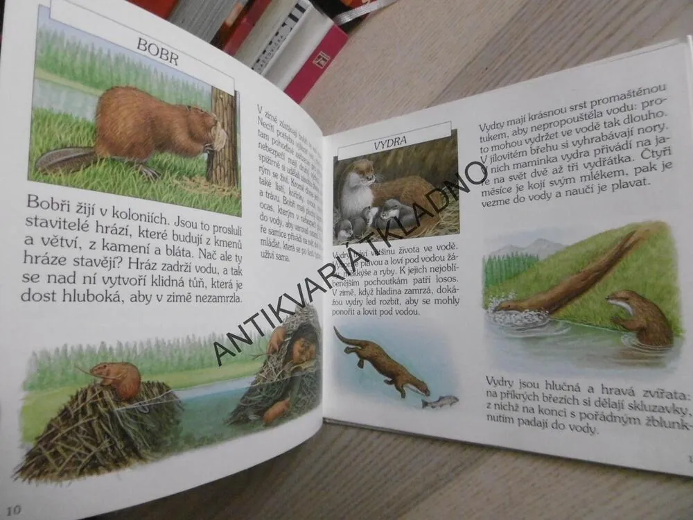 ZVÍŘÁTKA A HÁDANKY, MOŘE, LES, BOB BAMPTON, JULIE BAMPTON, **an