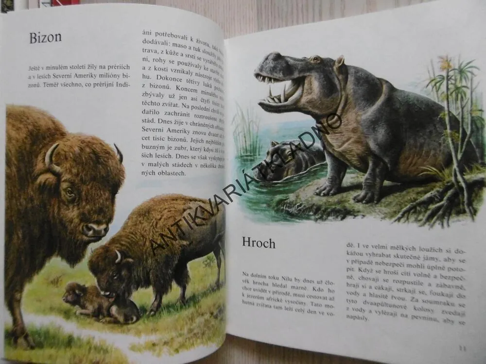 MŮJ BAREVNÝ ATLAS ZVÍŘAT, ERNEST W. BAUER, **an