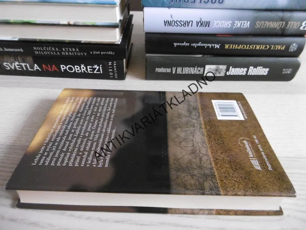 DŮM VZPOMÍNEK, BARBARA WOODOVÁ, **an