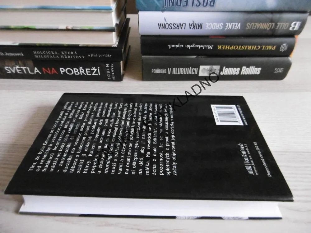 V SEDMÉM KRUHU PEKLA, DEBORAH SCROGGINSOVÁ, **an