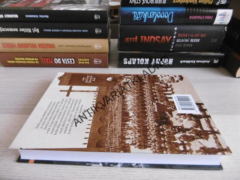 TŘETÍ ŘÍŠE, ÚVOD DO STUDIA, DIETRMAR SÜS, **an